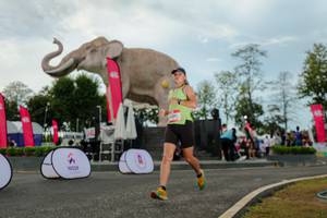 BIB: 
                            <button type="button" onclick="openModal(26528886)" class="btn btn-primary btn-sm float-right btn-popup" data-toggle="modal" data-target=".modal-high-quality">
                        <i class="fas fa-shopping-cart"></i> Add to Cart
                    </button>
                                            <button type="button" onclick="isThisMe(26528886, true)" class="btn btn-success btn-sm float-right btn-popup btn-isme hidden" data-toggle="tooltip" data-placement="bottom" title="นี่คือรูปของคุณใช่ไหม คลิกที่นี่เพื่อเอาเข้าอัลบั้ม">
                        <i class="fas fa-plus"></i> Add to album
                    </button>
                    <button type="button" onclick="isThisMe(26528886, false)" class="btn btn-warning btn-sm float-right btn-popup btn-isnotme hidden">
                        <i class="fas fa-ban"></i> Remove from album
                    </button>